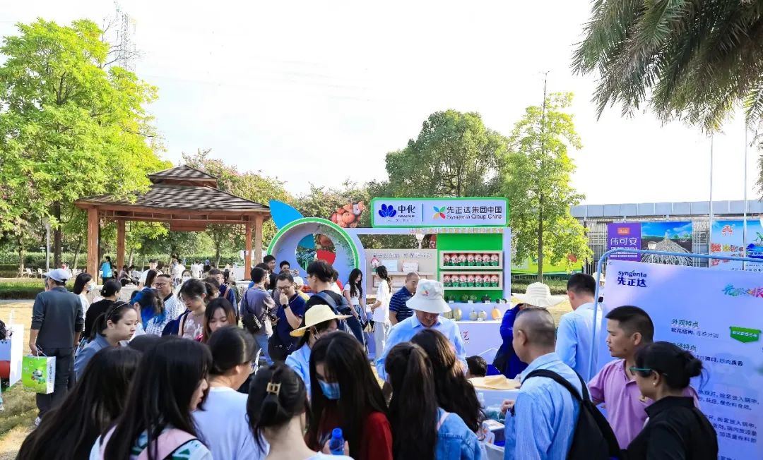 b13.jpg