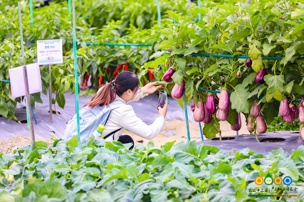 名额有限！第二十四届广东种博会品种征集正式启动