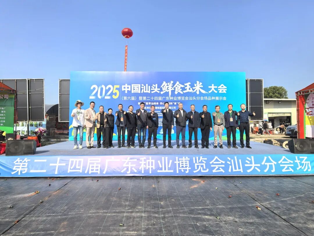 26个鲜食玉米品种获推介！汕头分会场圆满落幕